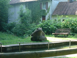 village004.jpg