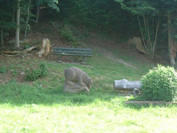 village018.jpg
